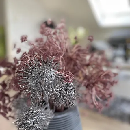 Am Goldberg Mit Ueberdachter Loggia شقة *