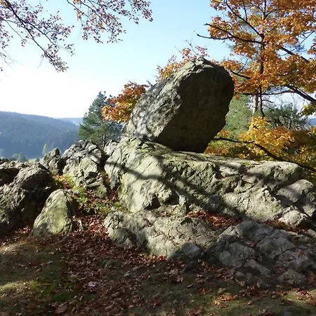아파트 Am Goldberg Mit Ueberdachter Loggia *
